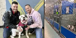 Elvis, only dog not adopted at shelter’s adoption event, gets forever home