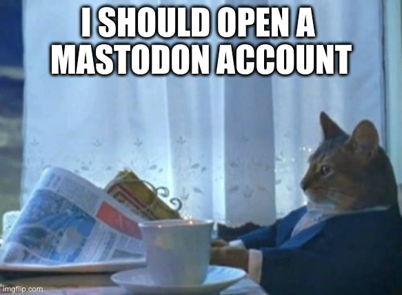 I should open a Mastodon account