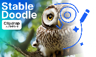 Stable Doodle: Transform your doodles into real images in seconds