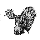 HornedMeatBeast