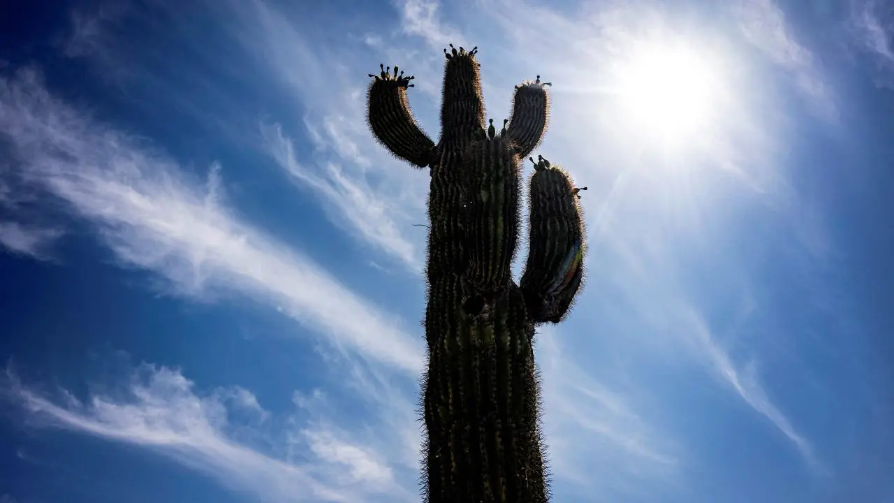 Phoenix reaches 100 degrees for record 100th straight day