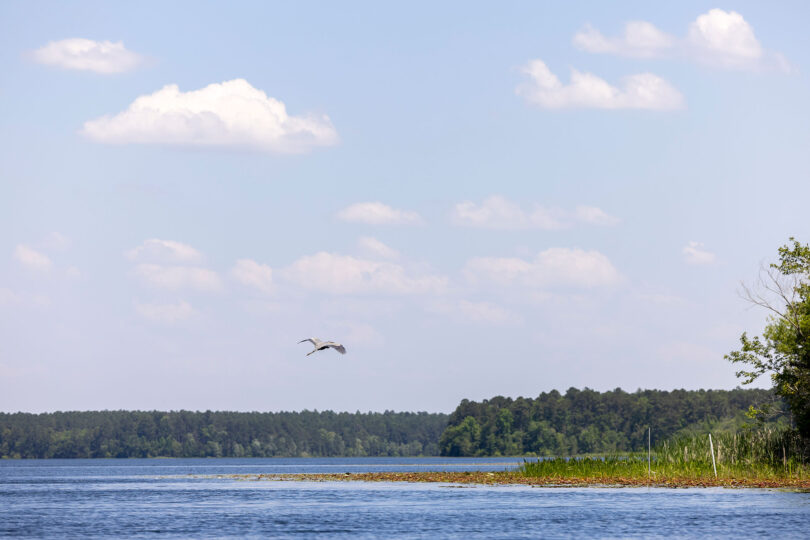 People are altering decomposition rates in waterways