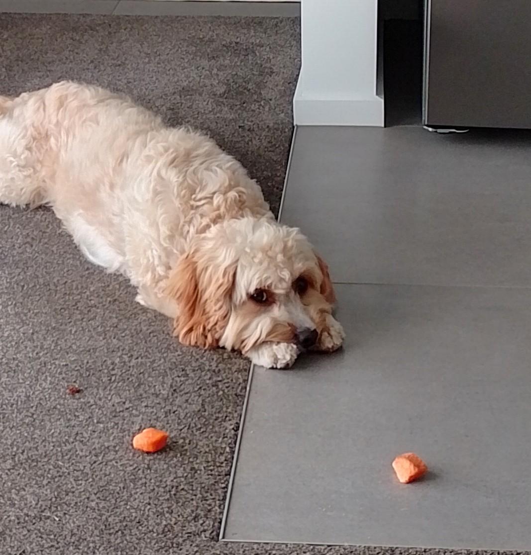 Sophie with salmon