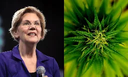 Elizabeth Warren Wants Marijuana Laws That Block Amazon And Big Tobacco From Monopolizing The Legal Industry - Marijuana Moment