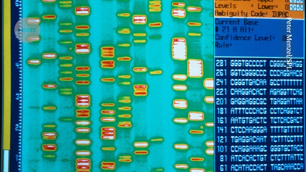 It’s time to admit that genes are not the blueprint for life