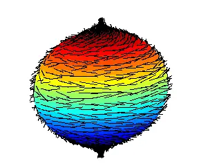 Hairy ball theorem - Wikipedia