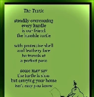 The Turtle