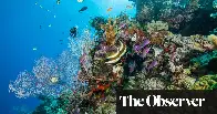 Race is on to produce a super-coral to survive world’s warming seas