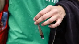 Germany legalizes recreational cannabis use | CNN