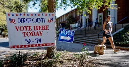 Georgia Election Board Orders Hand-Counting of Ballots