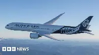 Air NZ becomes first big carrier to drop climate goal