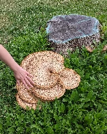 Absolute unit of a mushroom we found