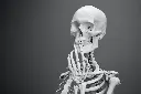 Everything Science