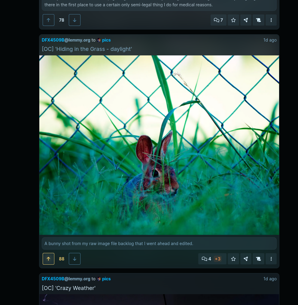 Screenshot of a card showing a photo of a bunny in some very green grass, the colors from the image are visible 