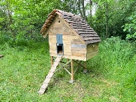 My homemade chicken coop