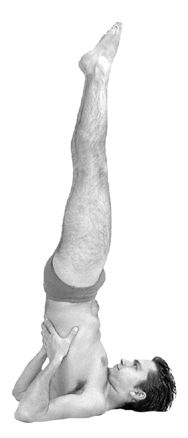 Sarvangasana - Wikipedia