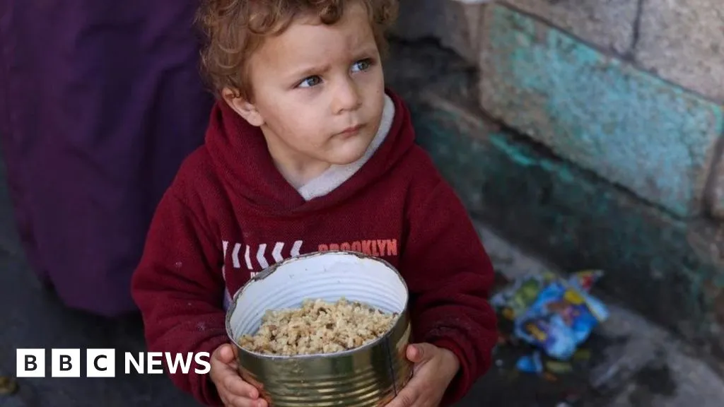 Gaza residents surviving off animal feed and rice as food dwindles