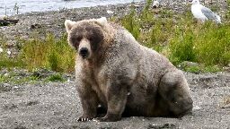 Majority of national parks will close and annual Fat Bear Week canceled if government shuts down, Biden admin warns | CNN Politics