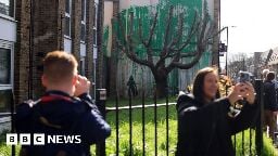 Banksy: Artist confirms new London tree mural is his own work