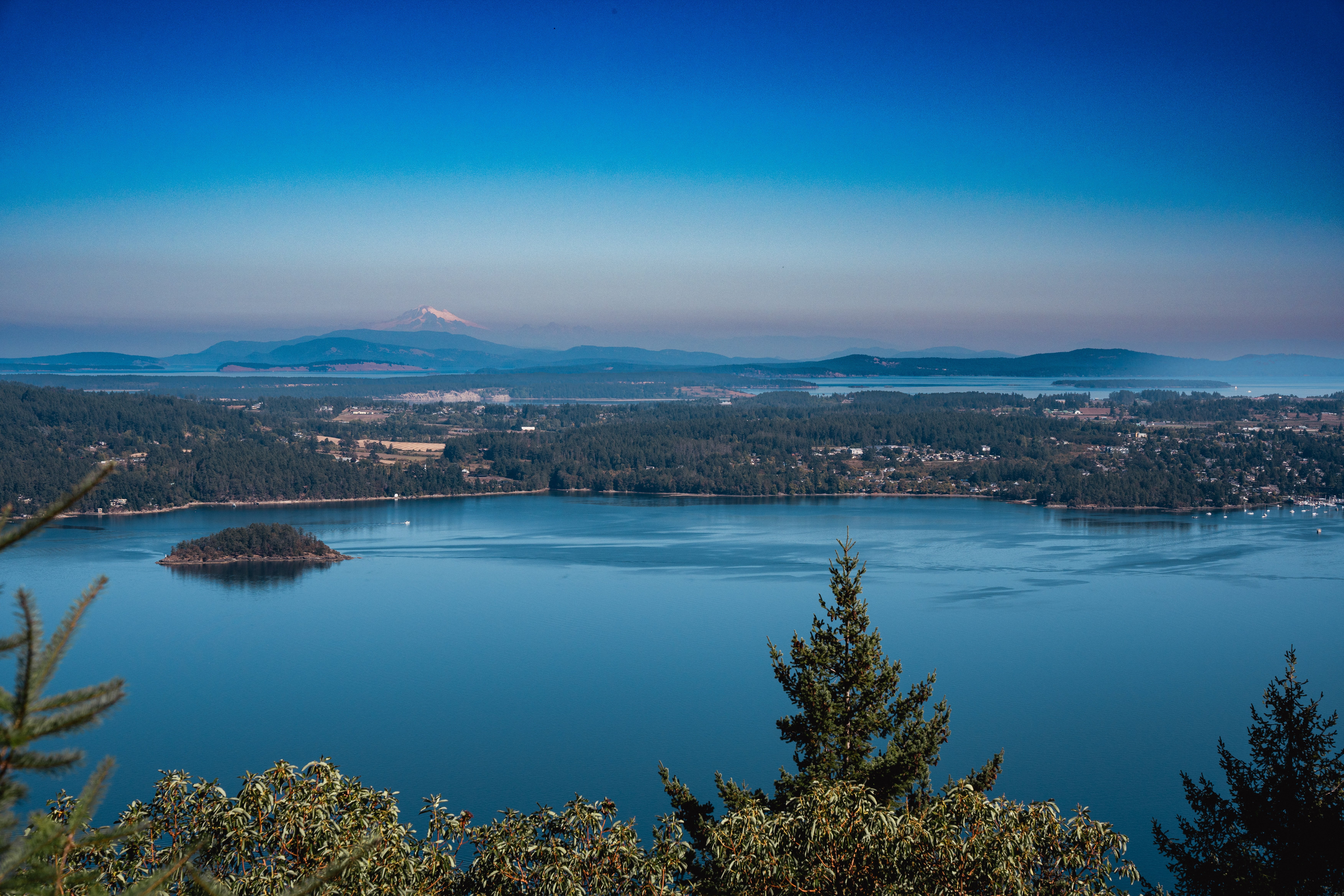 View of Saanich peninsula with Mt. Baker in the background