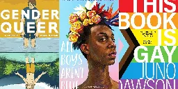 These are the most challenged library books in America — yes, most are LGBTQ+