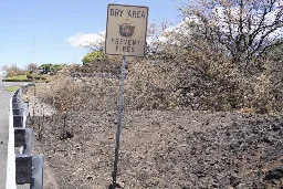 Invasive Species Are Radically Altering Hawaii’s Ecology