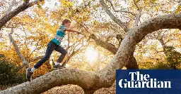 Arbouring offenders: Italian town’s tree-climbing ban prompts outcry