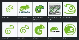 Selecting the New Face of openSUSE is Underway