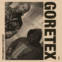 Goretex