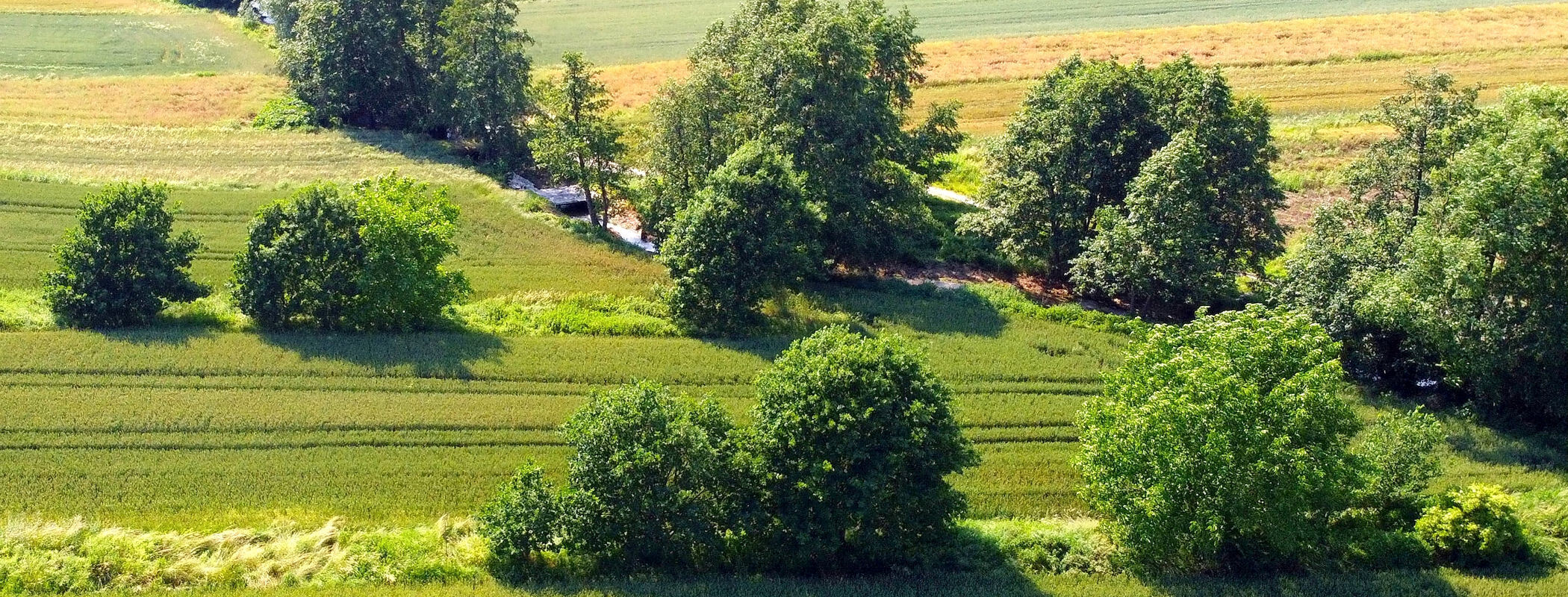 WILCZE DOŁY » TRUDNE SPRAWY » FOTO podróże BPE