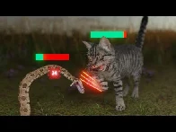 How Cats Broke The Game - YouTube