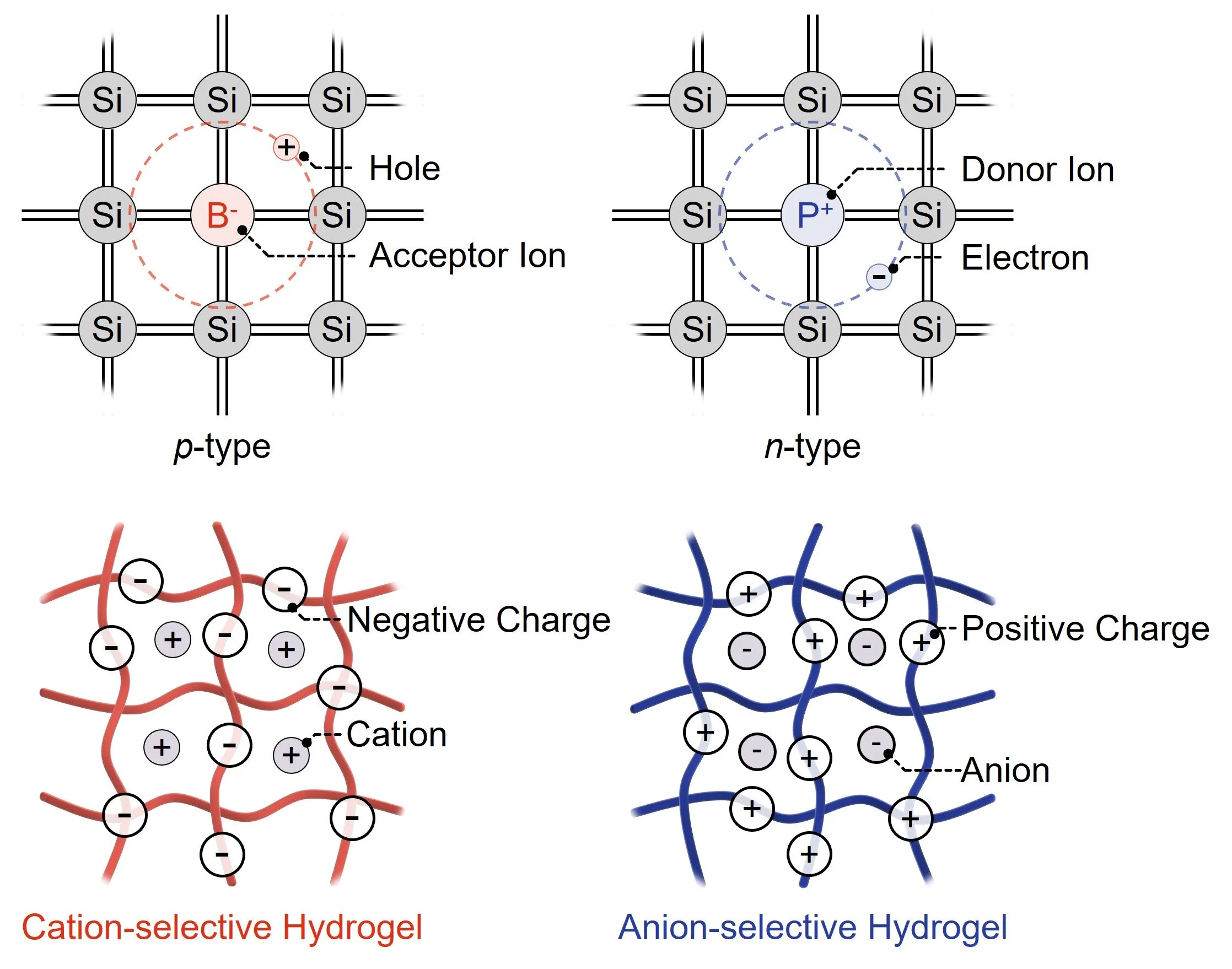 Bio-inspired droplet-based systems herald a new era in biocompatible devices