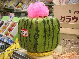 Square watermelon - Wikipedia