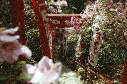 Gates [Nikon Fm3A | Kodak ektachrome]