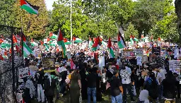 Thousands march on DNC without incident — or a permit: 'We just want a peaceful protest'