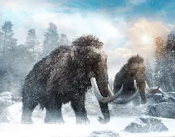 Wooly mammoths to be reborn by 2027, says biotech firm | Boing Boing