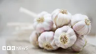 Chinese garlic is a national security risk, says US senator - BBC News