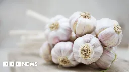 Chinese garlic is a national security risk, says US senator