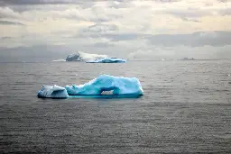 ‘Large’ creature — with 20 arms — found lurking in Antarctic sea. It’s a new species