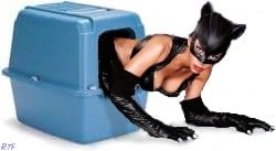Photoshop job depicting the Halle Berry Catwoman looking sultry while crawling out of a catbox.