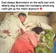 Fathers and their dogs