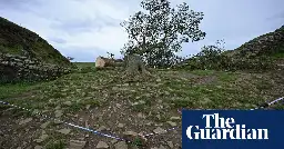 Boy, 16, arrested after felling of famous Sycamore Gap tree at Hadrian’s Wall