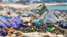 Less plastic in oceans than assumed: Dutch researchers