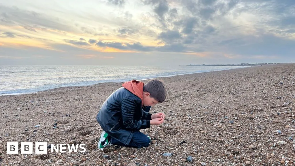 Shoreham: Boy discovers Neanderthal hand axe on beach - BBC News