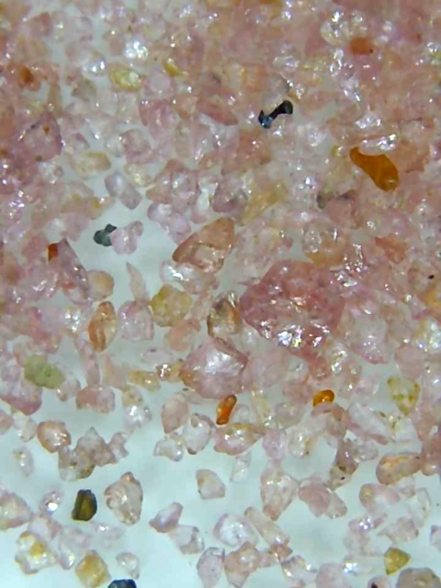 magnifyed pink sand on a glass slide