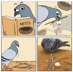 Fucking pigeons