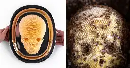 Artist Collaborates With Bees To Create Sculptural Wax Skulls