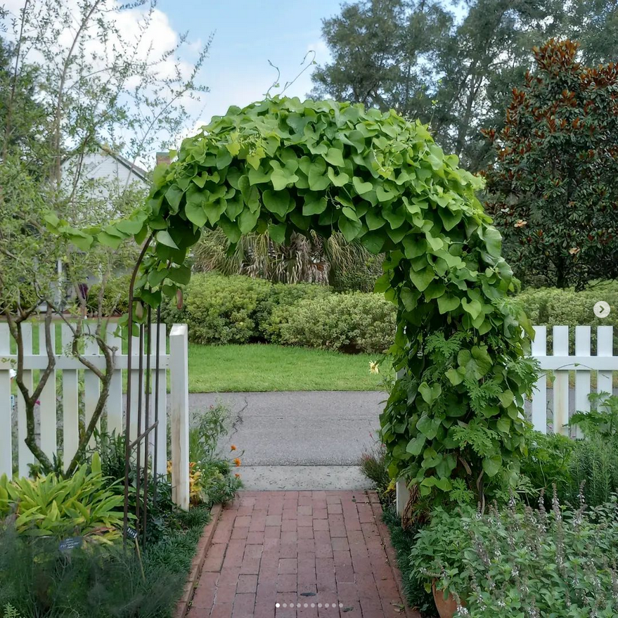 I got to go to Leu Gardens in Florida recently, let me tell you, it's a Cottagecore dream