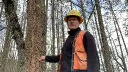 Douglas fir die-off in Southern Oregon gives a glimpse into the future of West Coast forests
