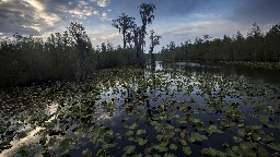 Proposed mine outside Georgia's Okefenokee Swamp nears approval despite environment damage concerns